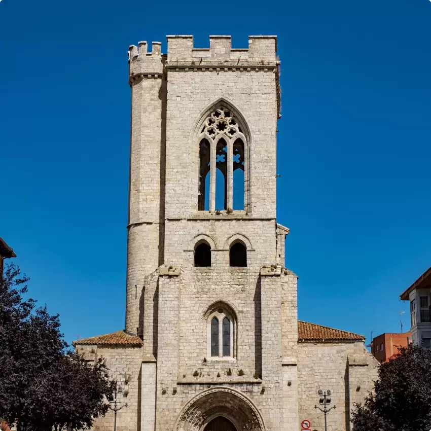 Catedral de Palencia