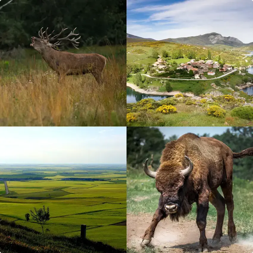 Naturaleza Palencia