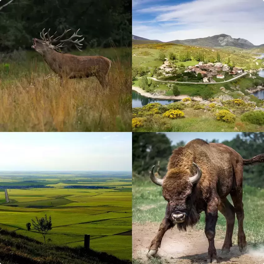 Naturaleza Palencia