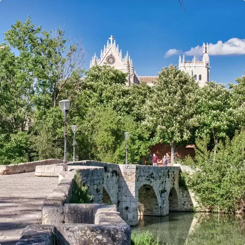 Puente Mayor de Palencia